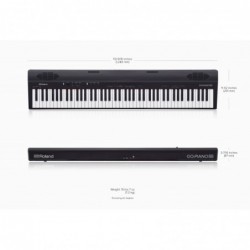 Roland Go:Piano 88