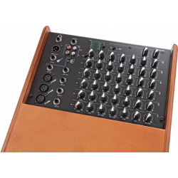 Acus One ForStrings AD Wood