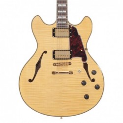 D'Angelico Excel EXL1 NATURAL 