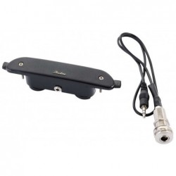 Shadow SH141 Pick Up Chitarra Acustica