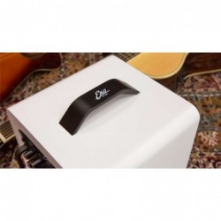 Eko EAmp Eclectic Amp