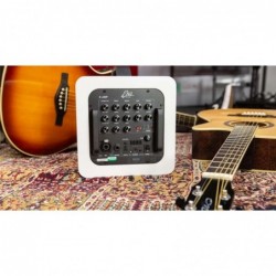 Eko EAmp Eclectic Amp