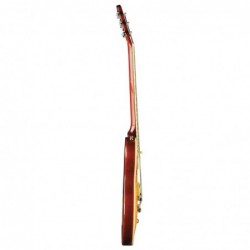 Eko Vl480 Honey Burst Flamed
