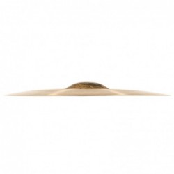 Meinl 21" Byzance Traditional Polyphonic Ride B21POR