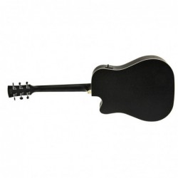 Ibanez AW84CE WK Artwood