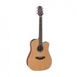 Takamine GD20CE NS 