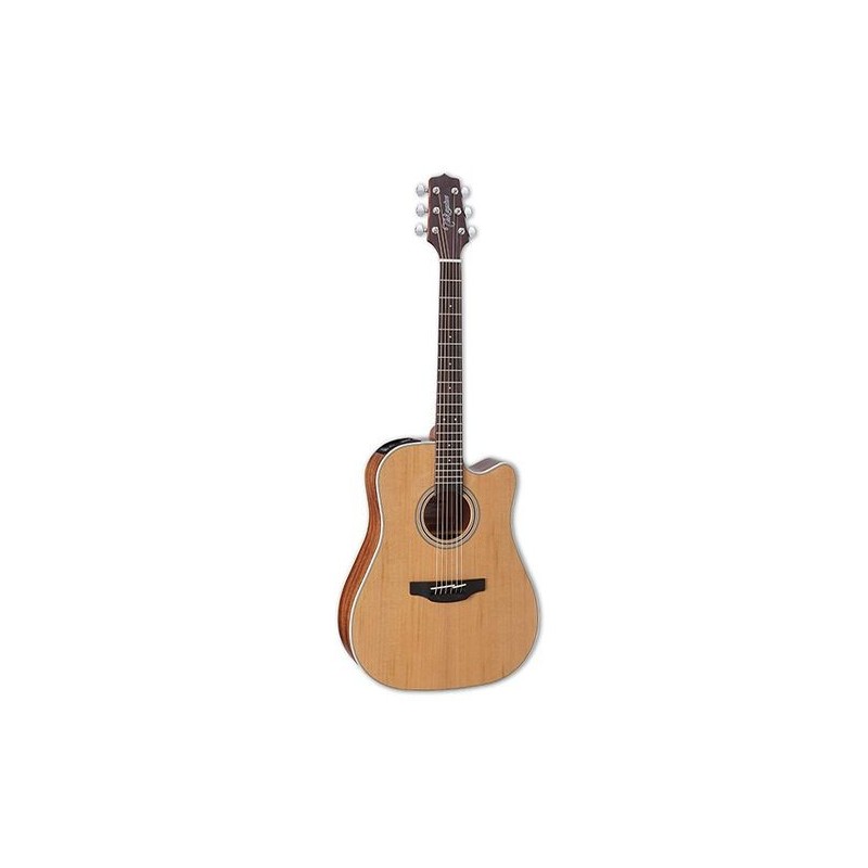 Takamine GD20CE NS 