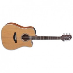 Takamine GD20CE NS 