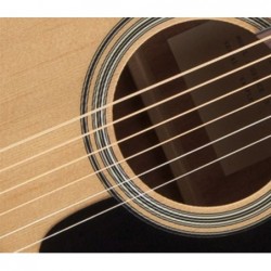 Takamine GD10CE NS