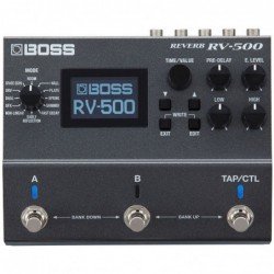 Boss RV500