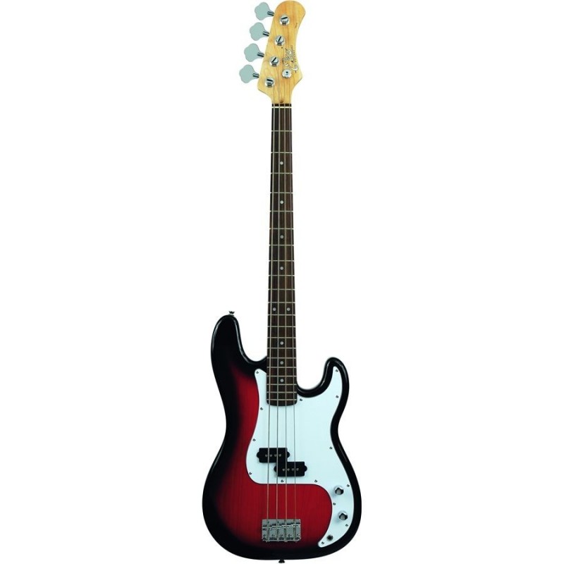 Eko VPB100 Sunburst Eko VPB100 Sunburst