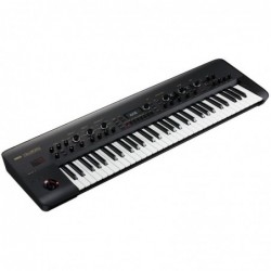Korg KINGKORG BK