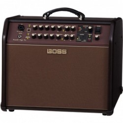 Boss Acoustic Singer Pro