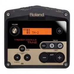 Roland TM2