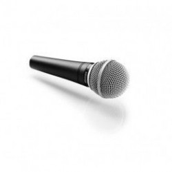 Shure SM48 