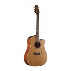 Takamine P3DC