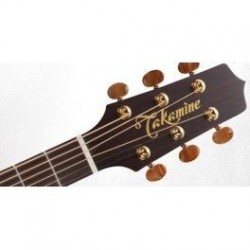 Takamine P3DC