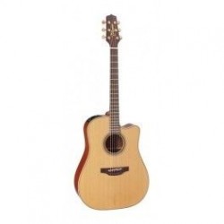 Takamine P3DC