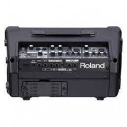 Roland Cube Street EX