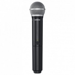 Shure BLX24E/PG58 M17