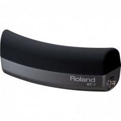 Roland BT1