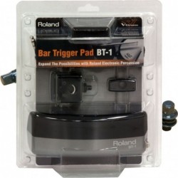 Roland BT1