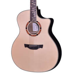 Crafter Professional STG G-27CE
