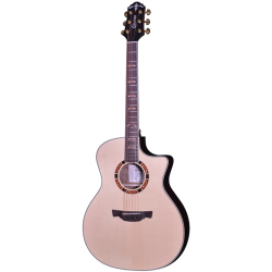 Crafter Professional STG G-20CE