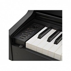 Casio AP470 BK