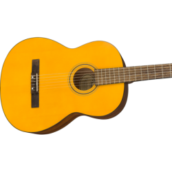 Fender ESC105 Educational Series WN