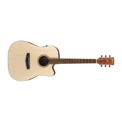 Ibanez PF10CE Natural