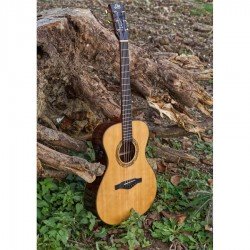 Eko Guitars - WOW A800E CR LTD