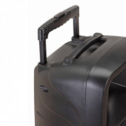 Soundsation Go Sound 10AMW Cassa Portatile