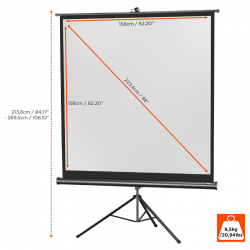 Celexon Economy 158X158 1:1