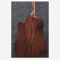 Ibanez AAD170CE Natural Low Gloss