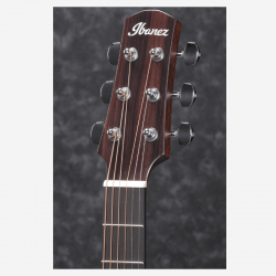 Ibanez AAD170CE Natural Low Gloss