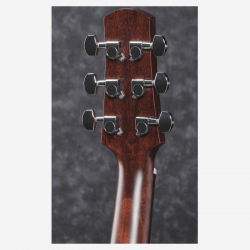 Ibanez AAD170CE Natural Low Gloss