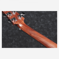 Ibanez AAD170CE Natural Low Gloss