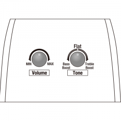 Ibanez AAD170CE Natural Low Gloss