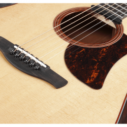 Ibanez AAD170CE Natural Low Gloss
