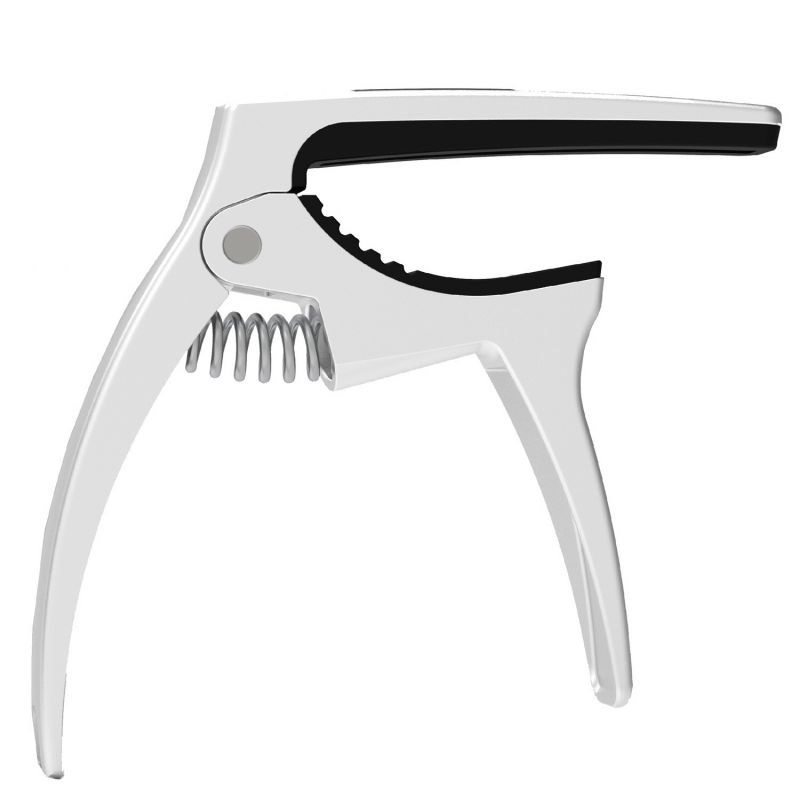 Arguistar CAPO501 Silver