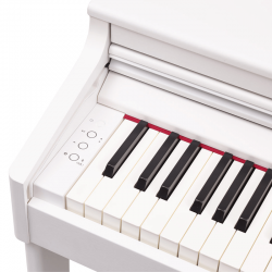 Roland RP-701 White