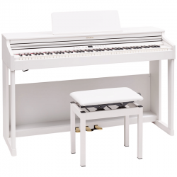 Roland RP-701 White