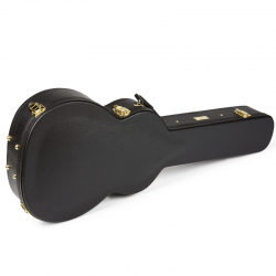 Fender PS-220E Parlor W/C Natural