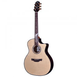 Crafter Professional PK G-1000 CE