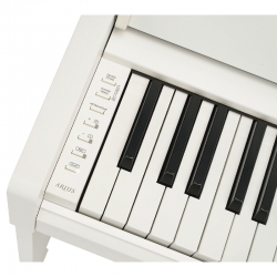 Yamaha YDP-S55 Arius White