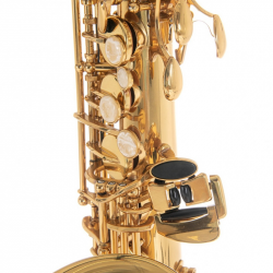 Roy Benson AS202 Sax Alto