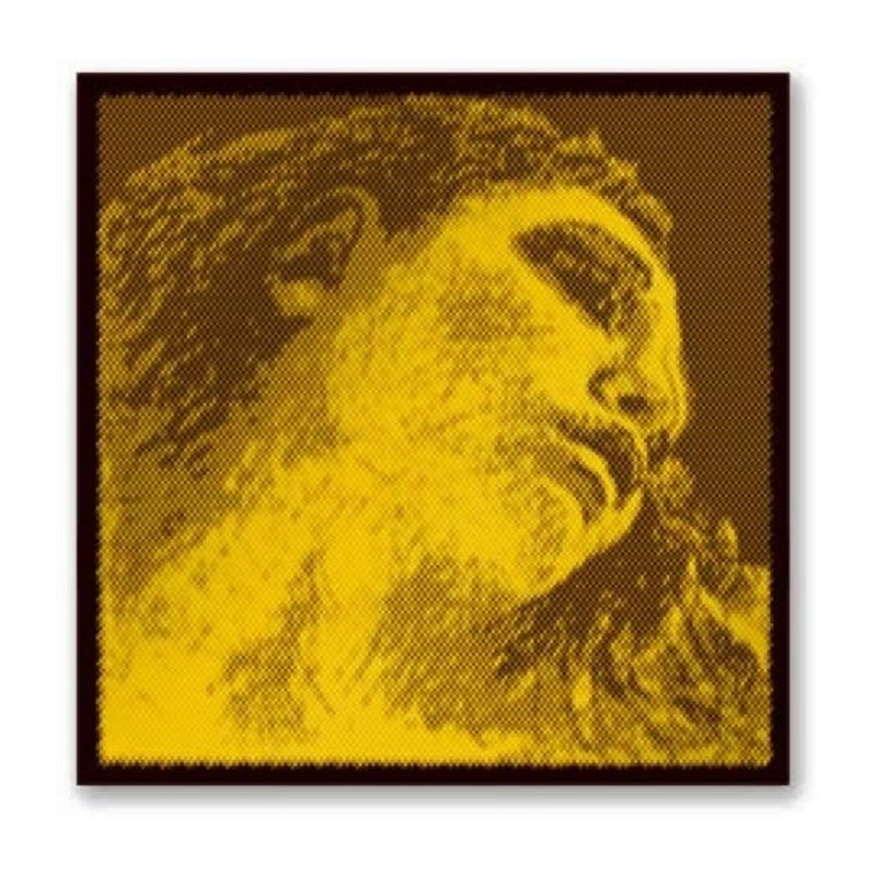 Evah Pirazzi MI 315521 Gold Pirastro