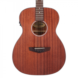 D'angelico Premier Tammany LS Natural Mahogany Satin