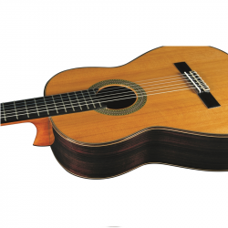 Eko Vibra 500 Mario Gangi Natural